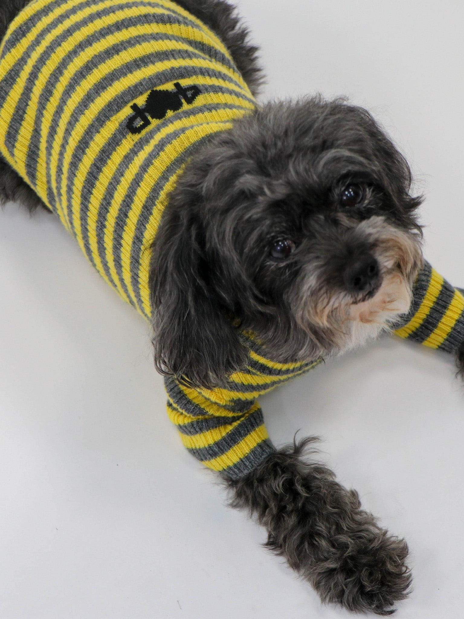 Cashmere Pet Sweater