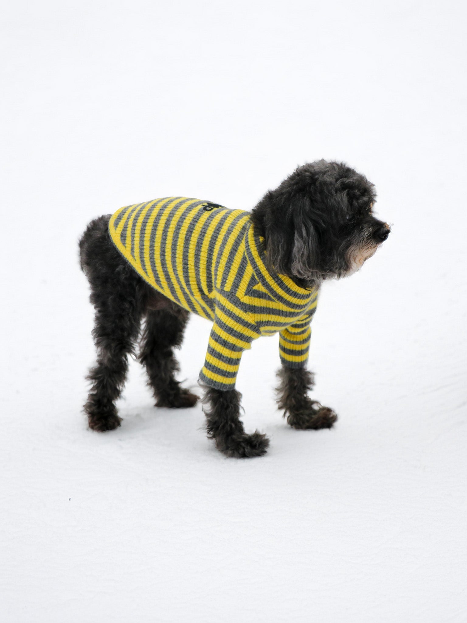 Cashmere Pet Sweater