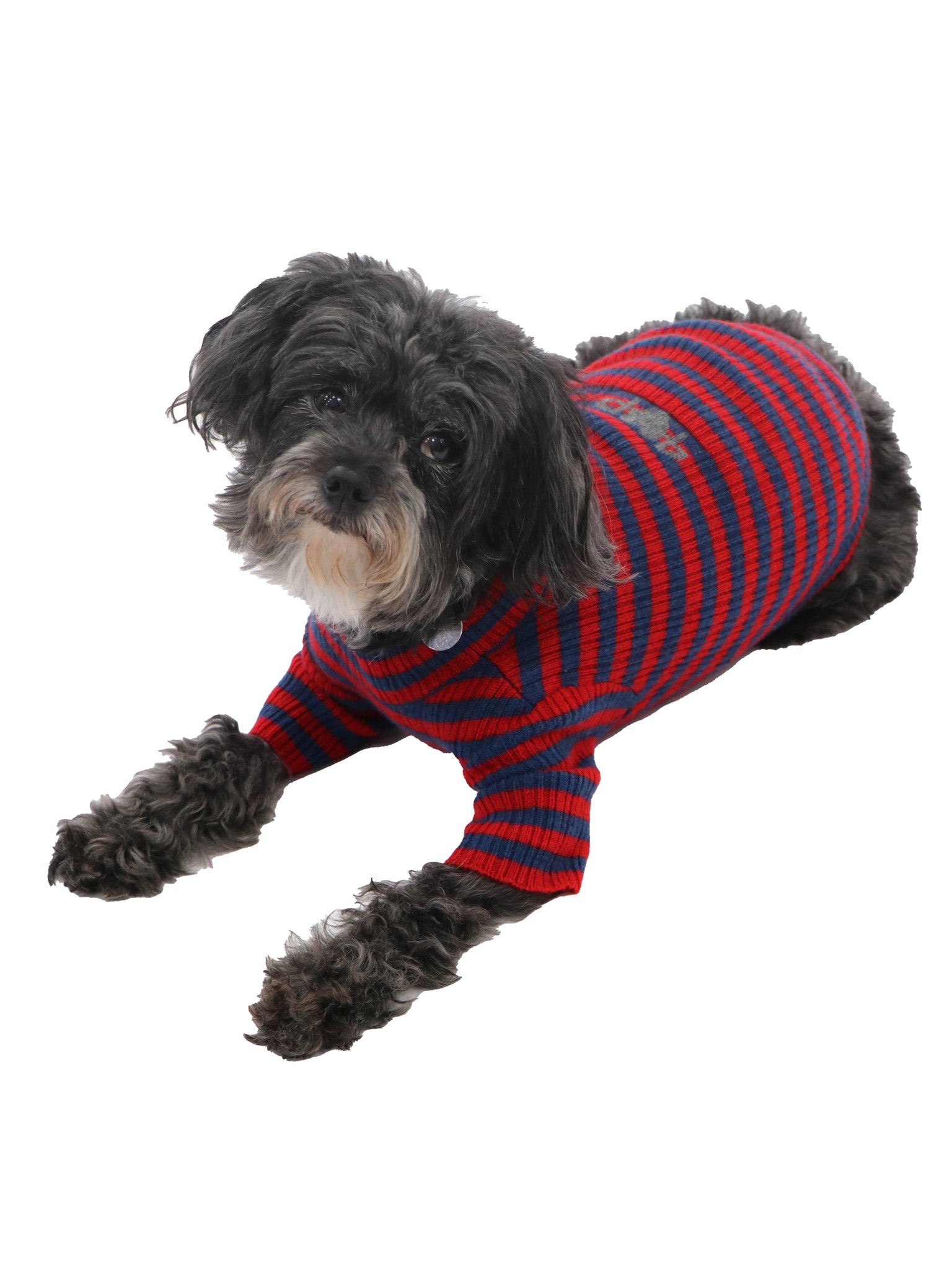 Cashmere Pet Sweater