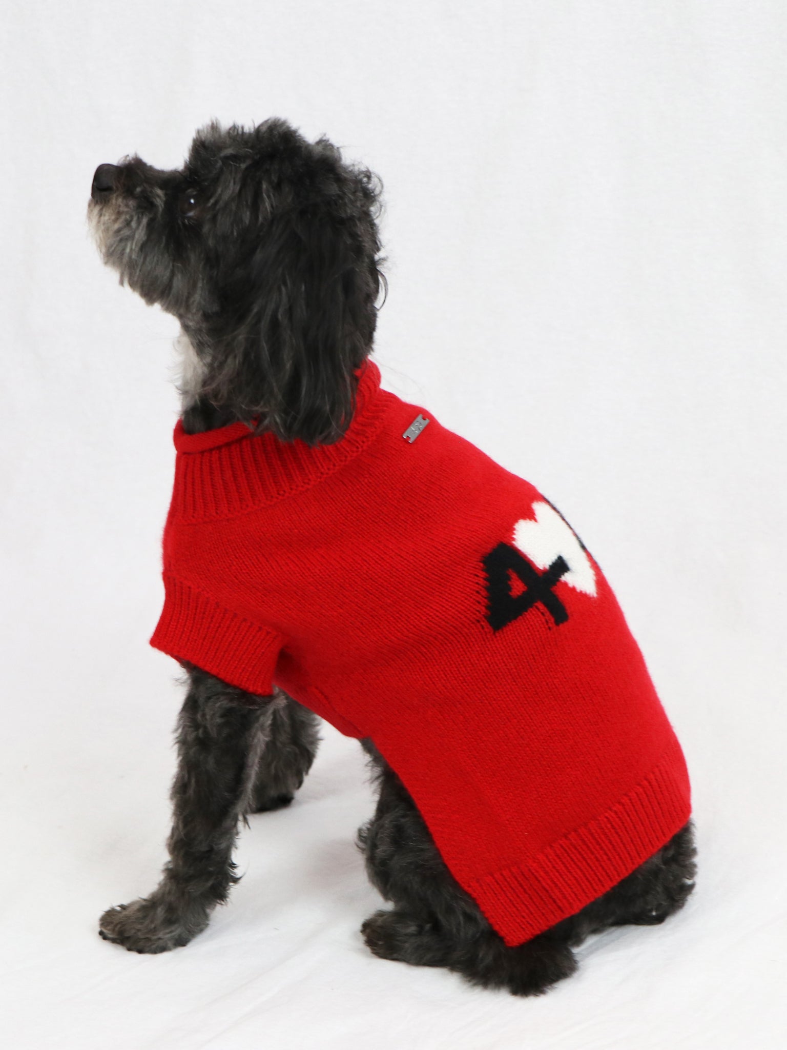 Cashmere Dog Sweater